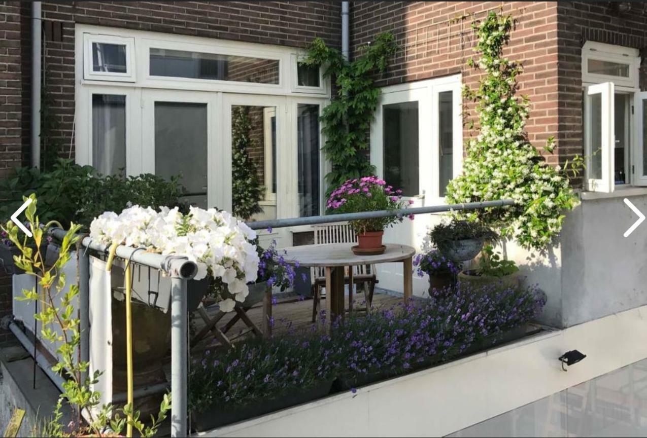 Here'S Lucy Amsterdam Exteriör bild